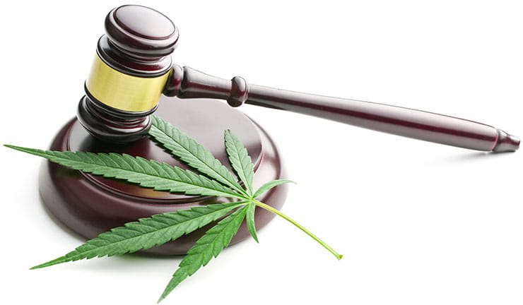 Legalizing Cannabis: what we know so far