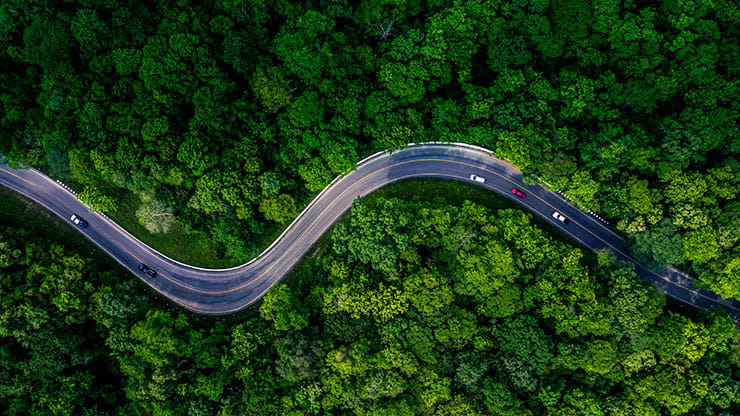 Forest road from above